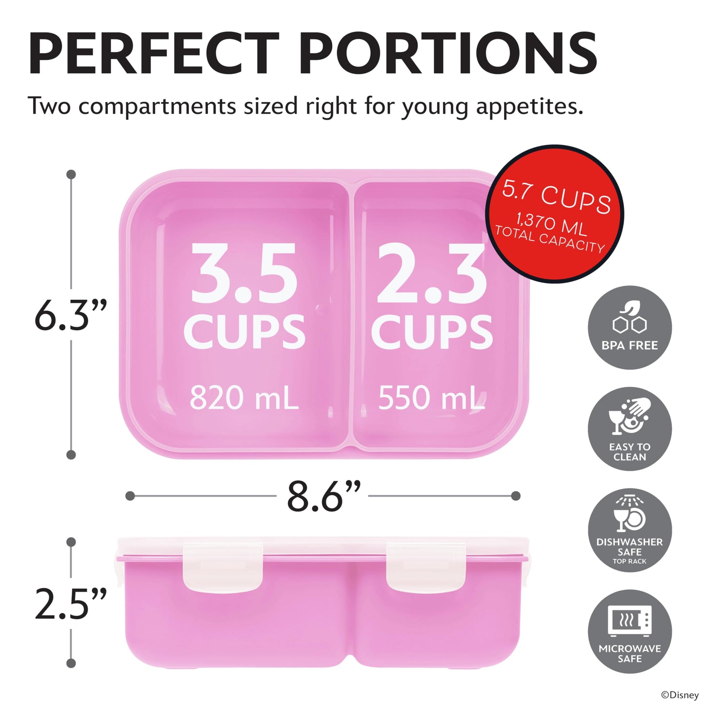 Disney Bento Box - Reusable Lunch Container