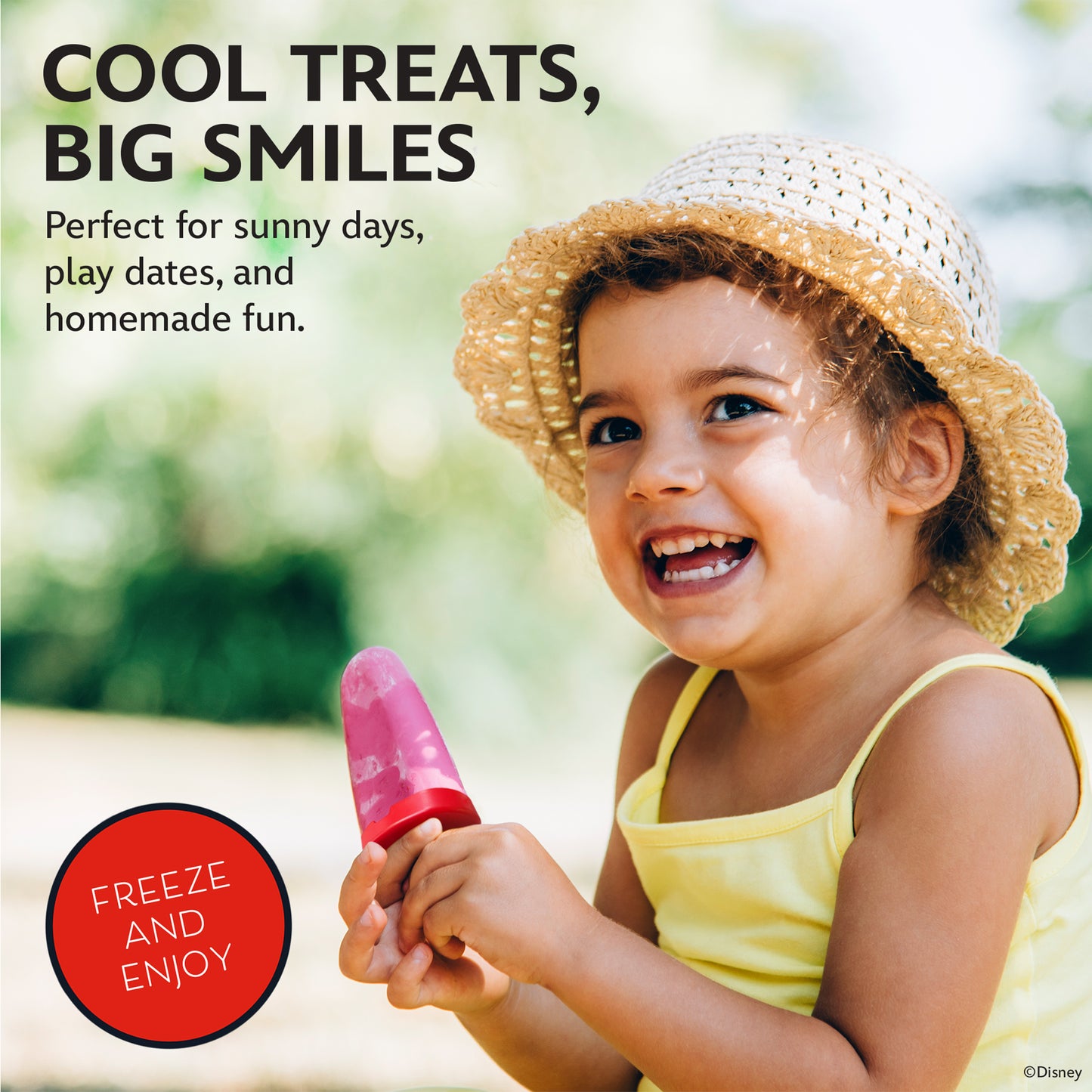 Disney Mickey & Minnie Popsicle Molds - Reusable Ice Pop Mold Set