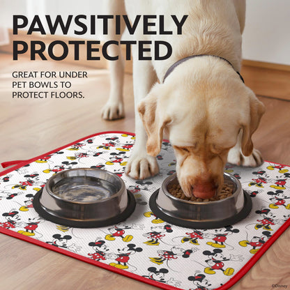 Disney Dish Drying Mats - Absorbent Counter Mat, 2 Pack